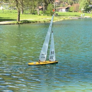 Walicki Skalpel NED55